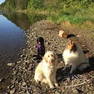 Meet your Posher, Angela